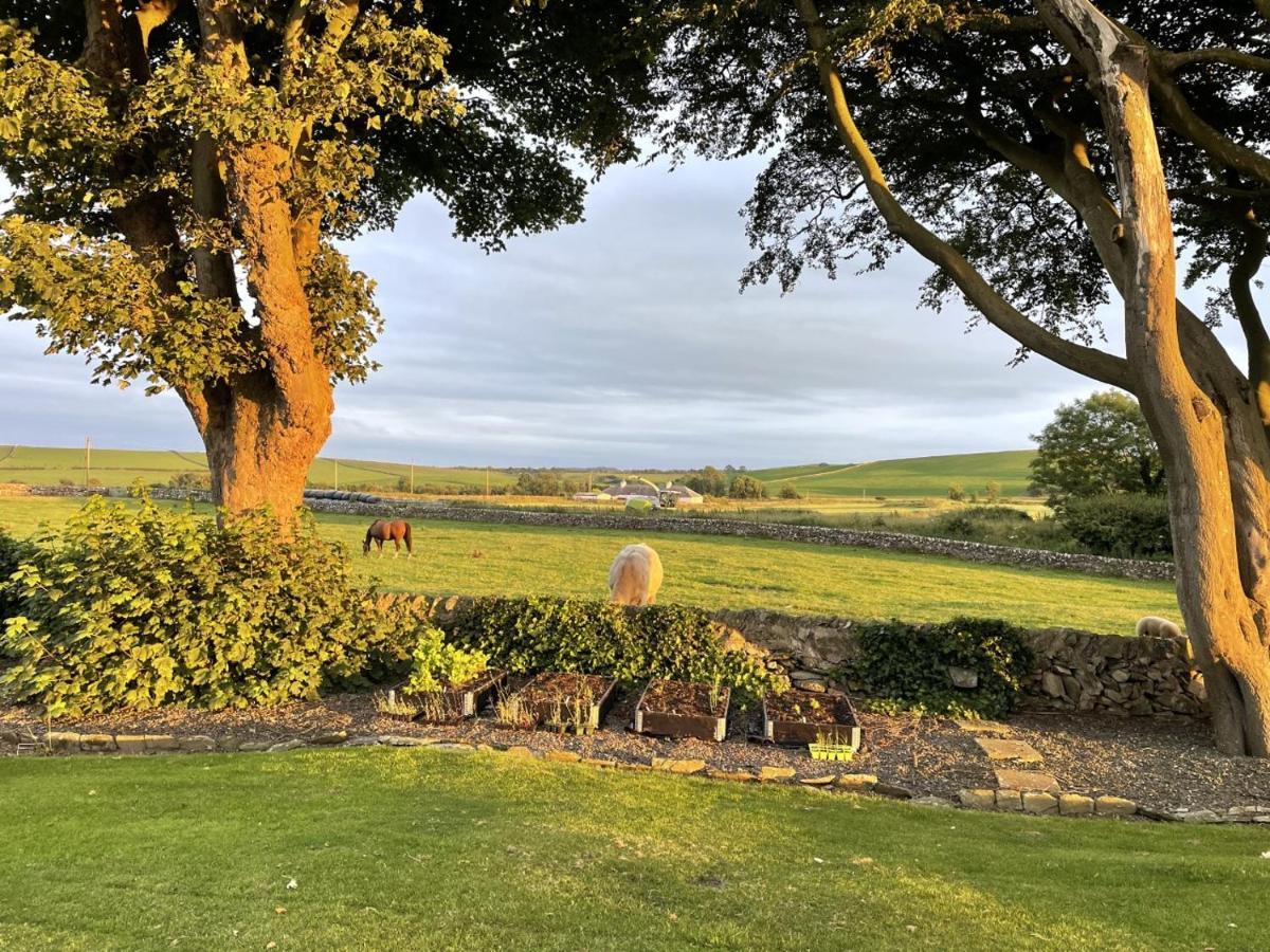 Galloway Farmstay Claunch นิวตันสจวร์ต ภายนอก รูปภาพ